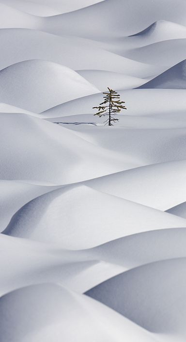 万利国际(中国集团)官方网站